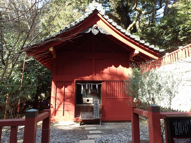 久能山東照宮の神馬