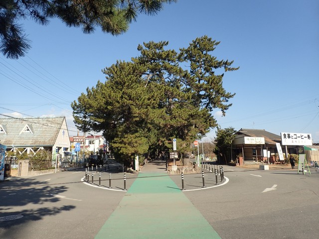 御穂神社：神の道