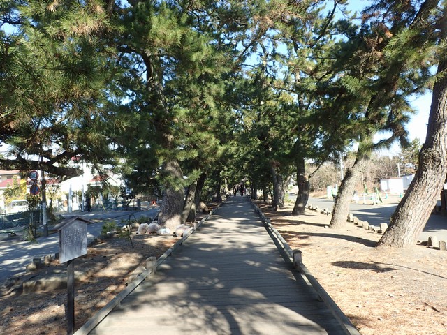 御穂神社：神の道