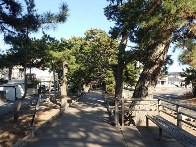 御穂神社：神の道