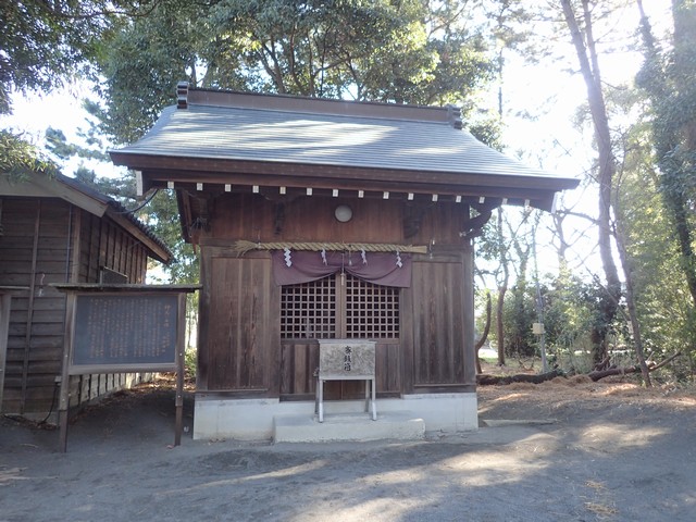 御穂神社：神馬