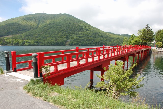 啄木鳥橋