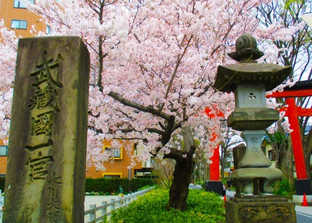 氷川神社参道